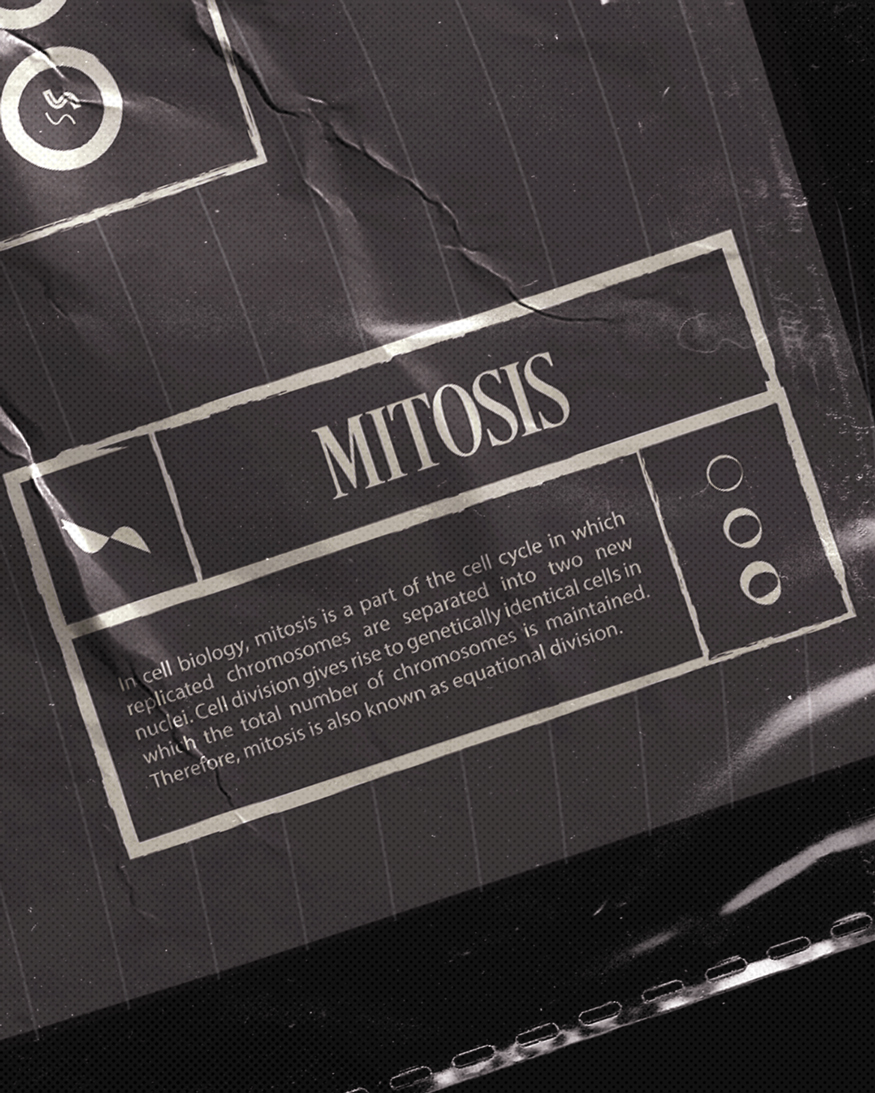 Close-up of the definition of mitosis