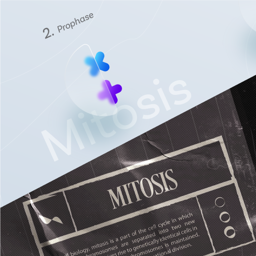 definition of Mitosis